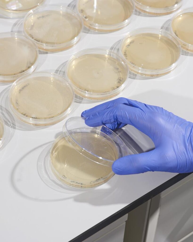 DStier_Avaunt_WarwickUniversity3670 copy