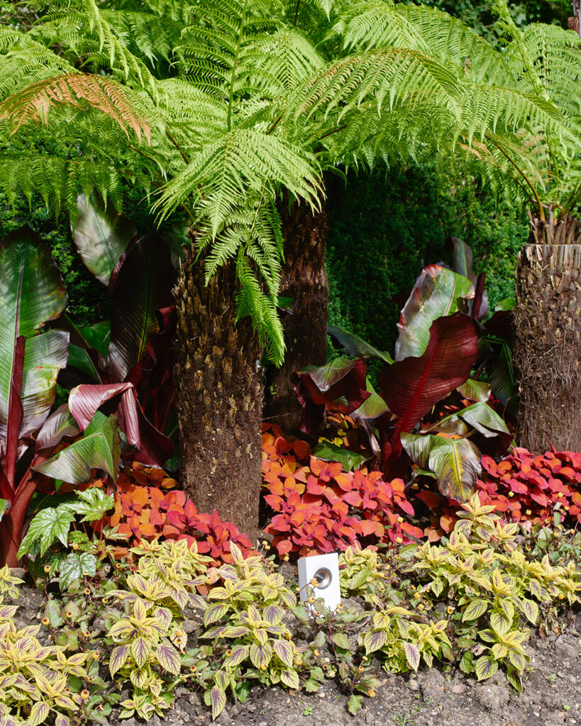 DStier_Bravenewworld_speaker_4358