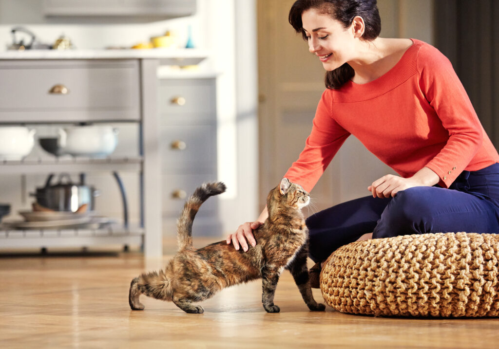 160922_Temptations_Sydney kitchen with owner_003