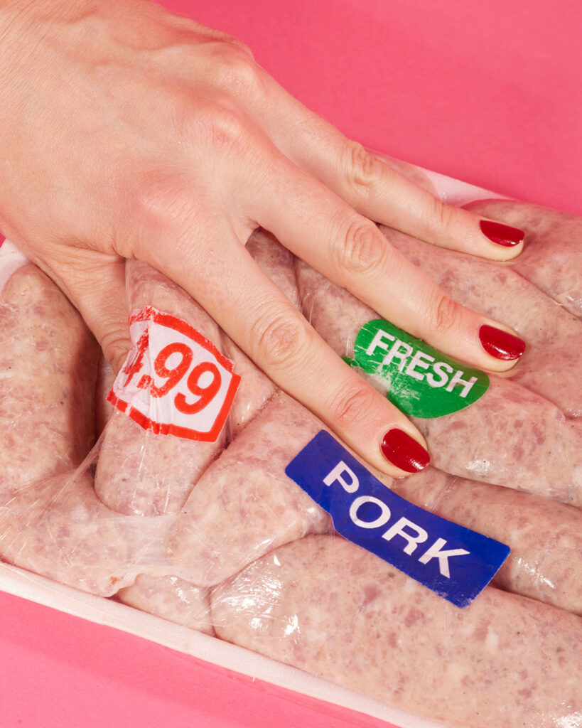 DStier_Mosaic_MeatTick15900