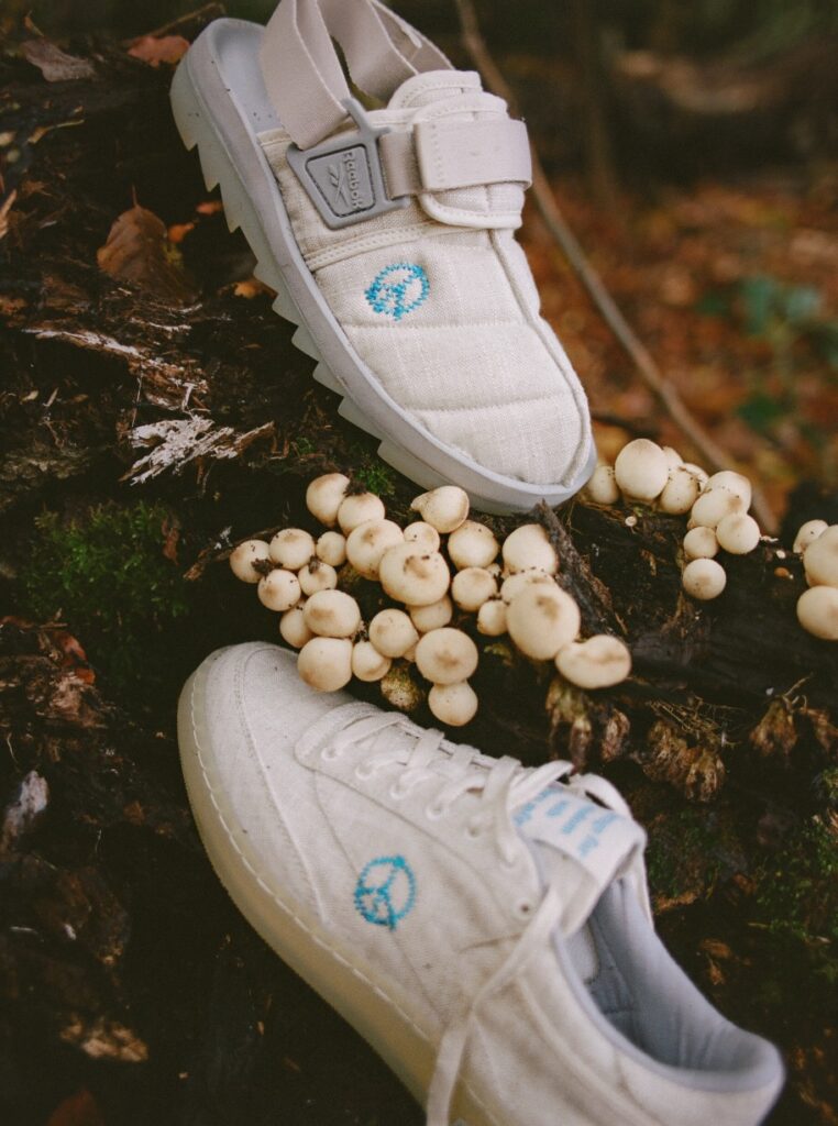 Hollie Fernando Story x Reebok 20