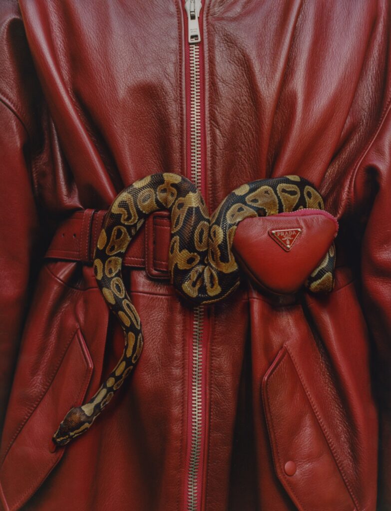 PortMagazine_033c_003