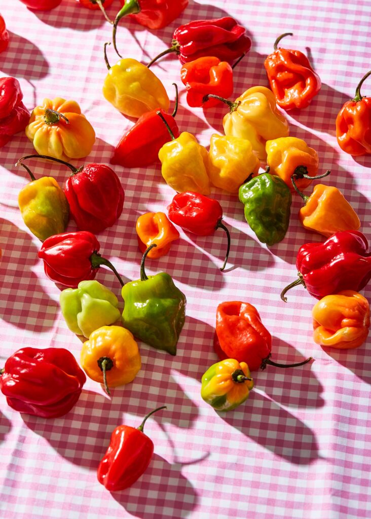 48_Pepperpot_026 copy