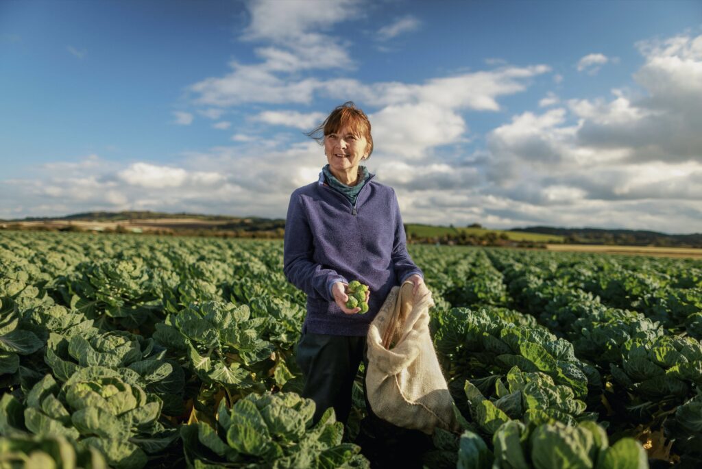 Screenshot 2023-12-12 at 11.04.41