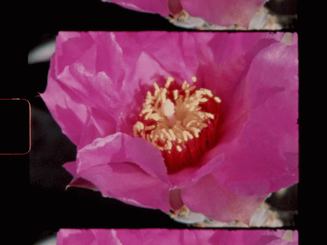 Sequence01-ezgif.com-video-to-gif-converter-3