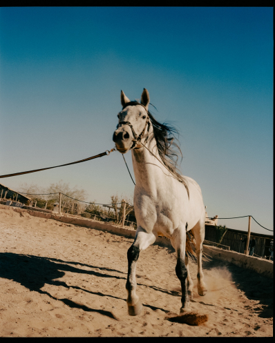 96000_ICA_005_03 2 2