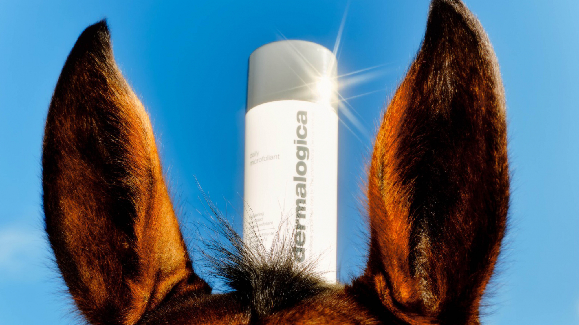 header_image_joe_optimized_2000