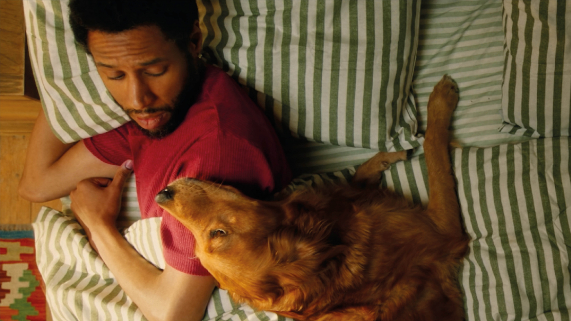 heade rjon harringtn’s