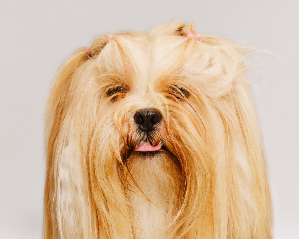 11E00BDE-6E73-4AEE-82D0-089EFFBEE94D