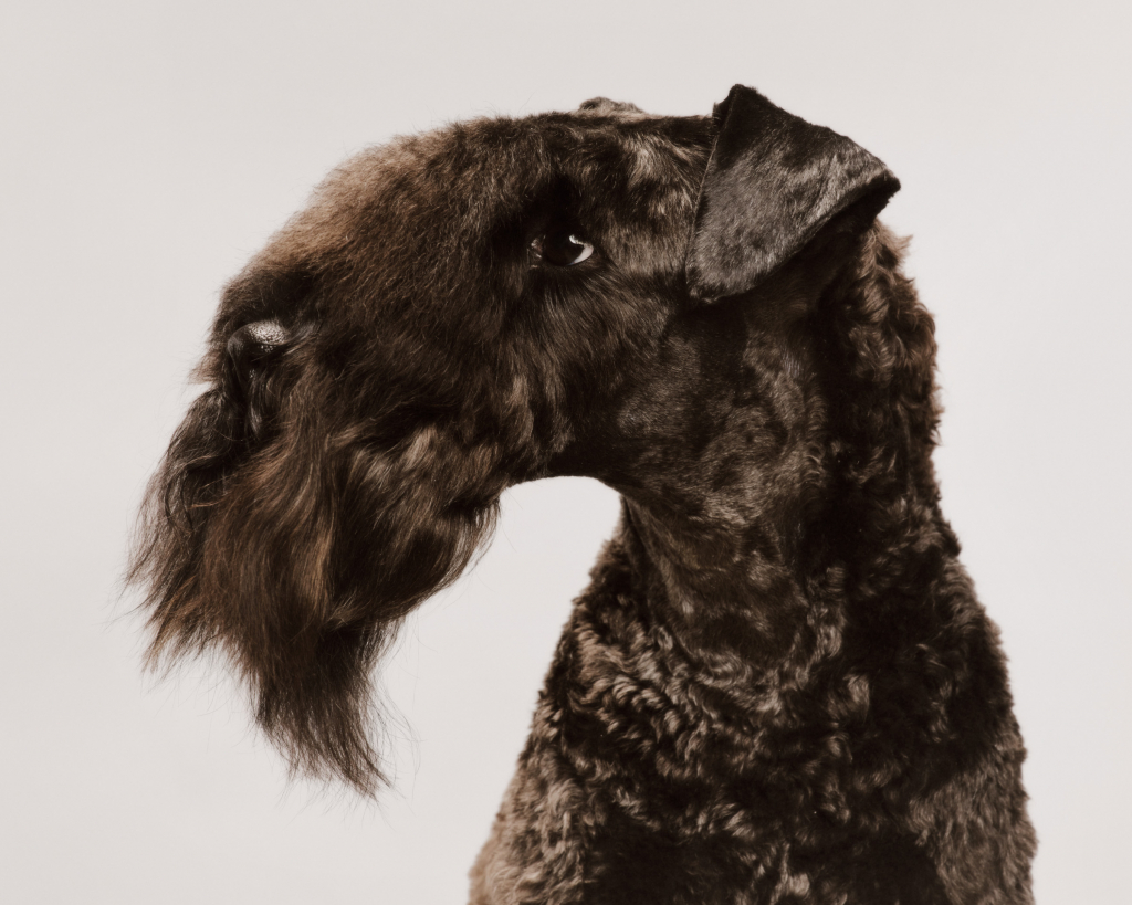 37D7E8F1-19C6-43D2-8615-38836BDC2A88