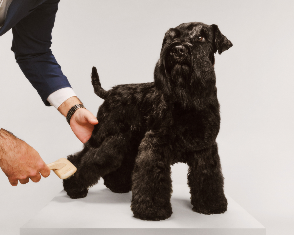 435F24E9-197B-47A6-8744-EEC82220DB3A