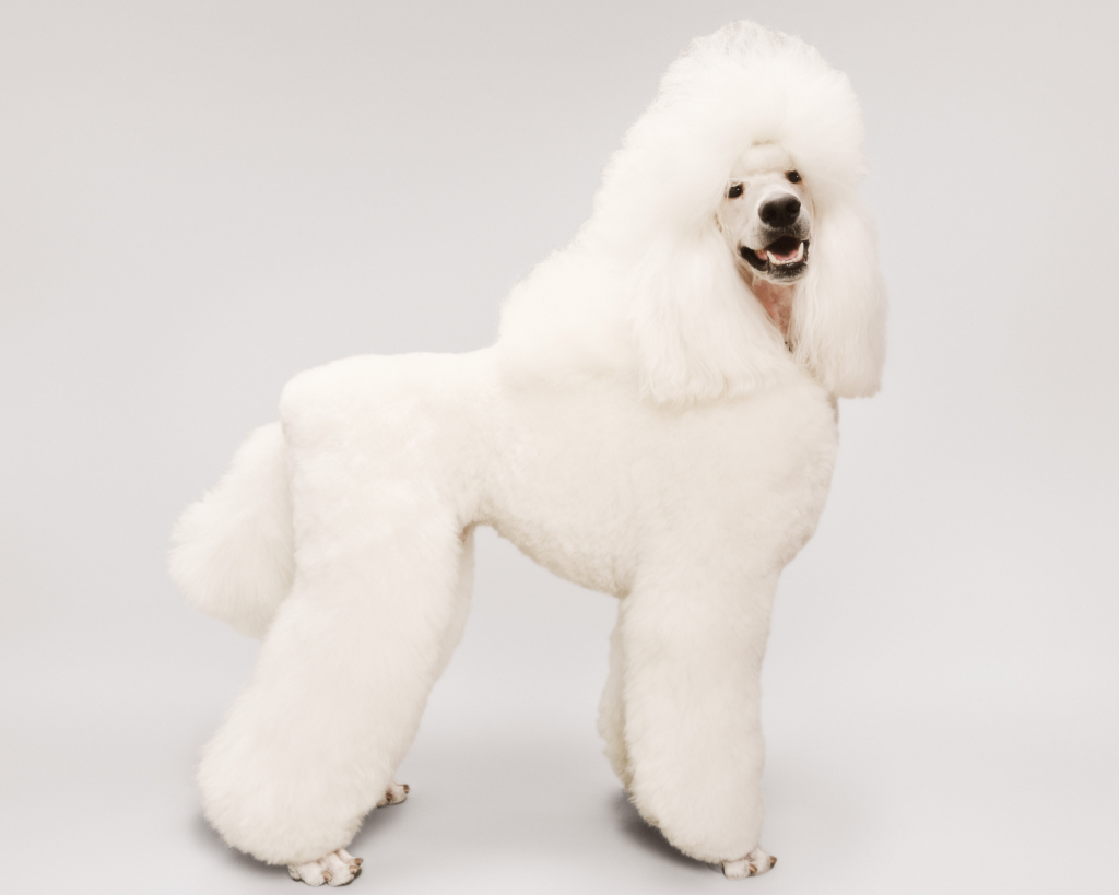 63826D3D-9A5D-42FD-952B-B089B8A12467