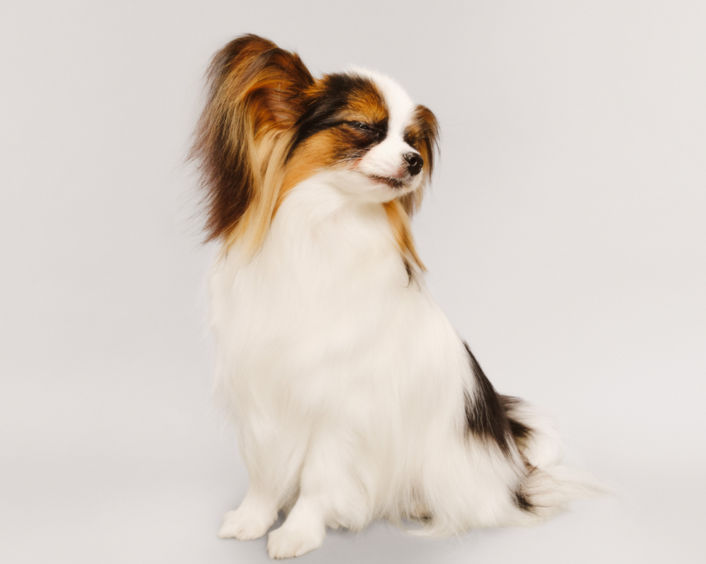 7ACF4B7B-A5F6-498D-B868-9282431B9BB7