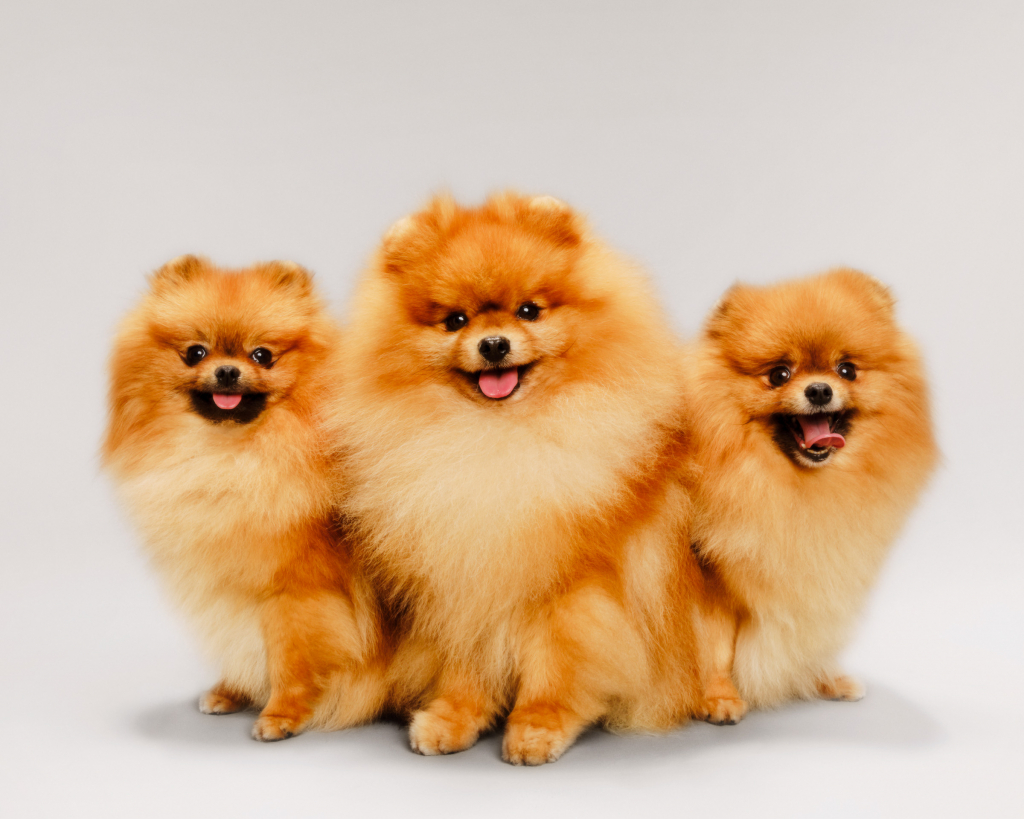 92D4DB27-1145-4FFC-8CA0-BC97126E5DDE