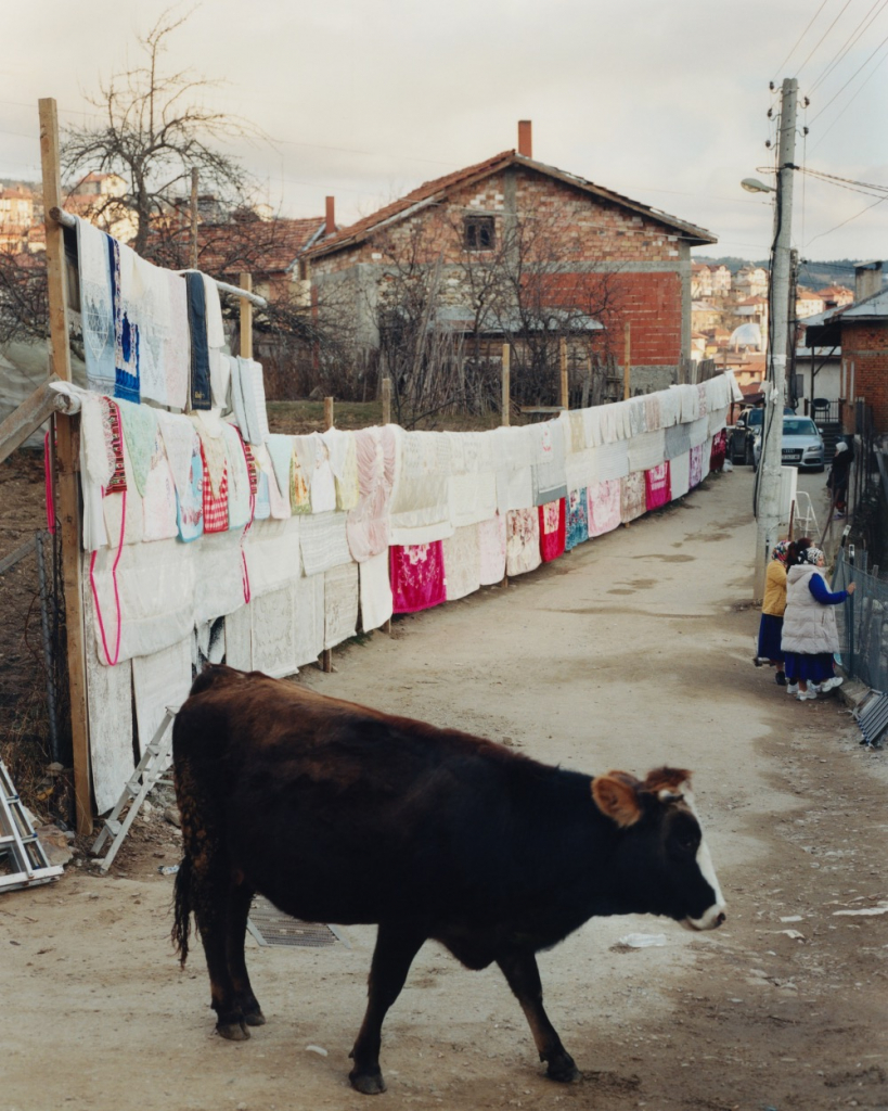 A.K_RIBNOVO_04.25_21B